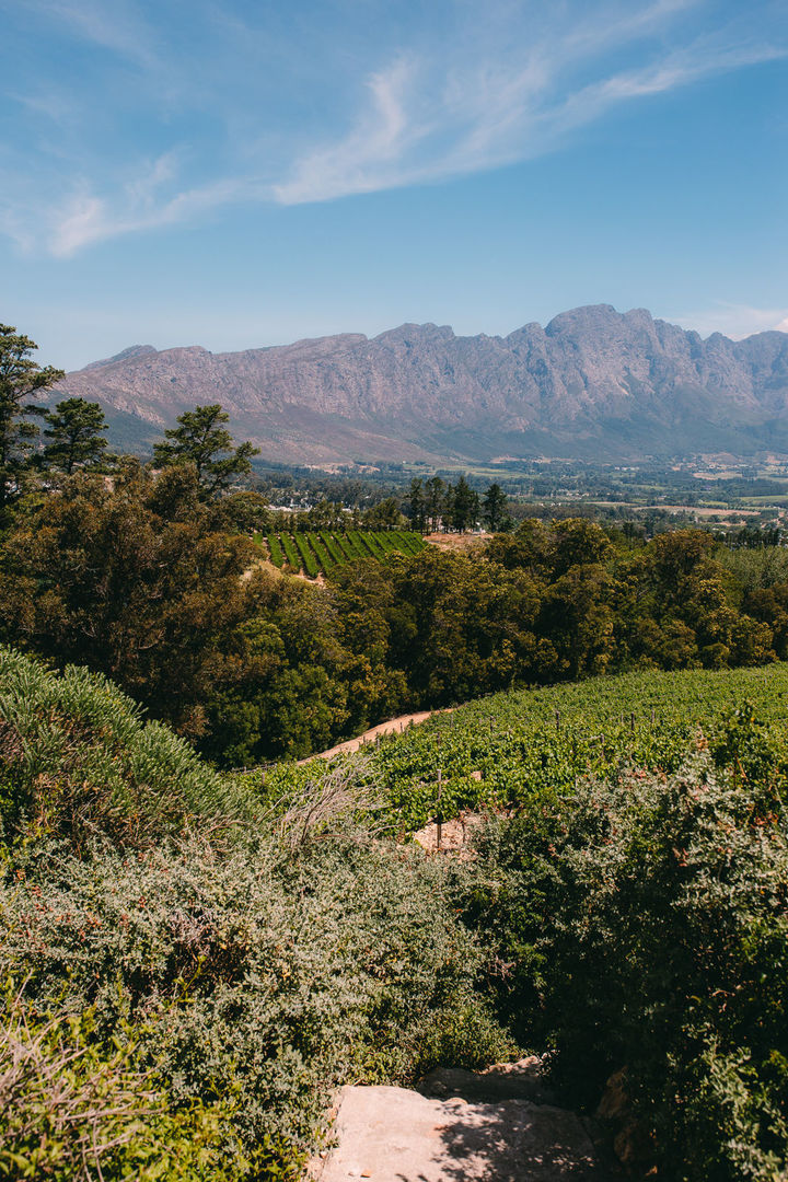 Foto VIAGENS - Capetown! Foto VIAGENS - Capetown! - Imagem 41