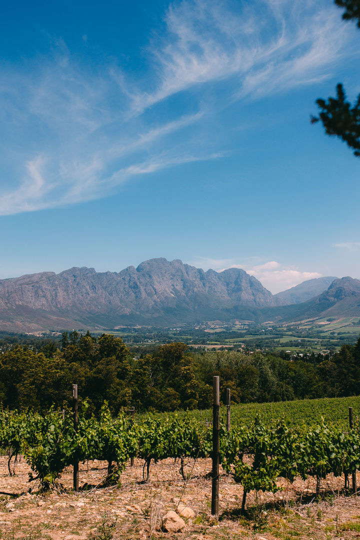 Foto VIAGENS - Capetown! Foto VIAGENS - Capetown! - Imagem 42