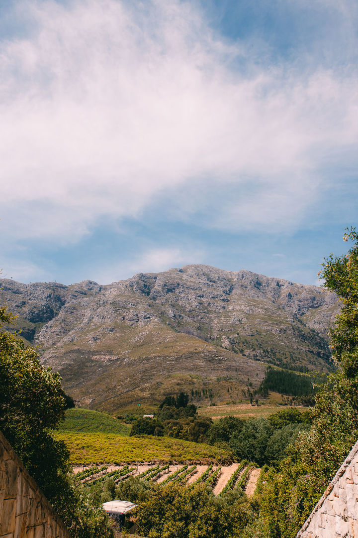 Foto VIAGENS - Capetown! Foto VIAGENS - Capetown! - Imagem 43