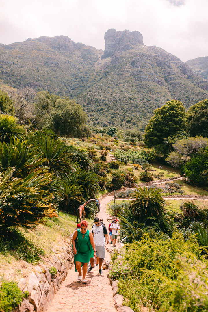 Foto VIAGENS - Capetown! Foto VIAGENS - Capetown! - Imagem 66