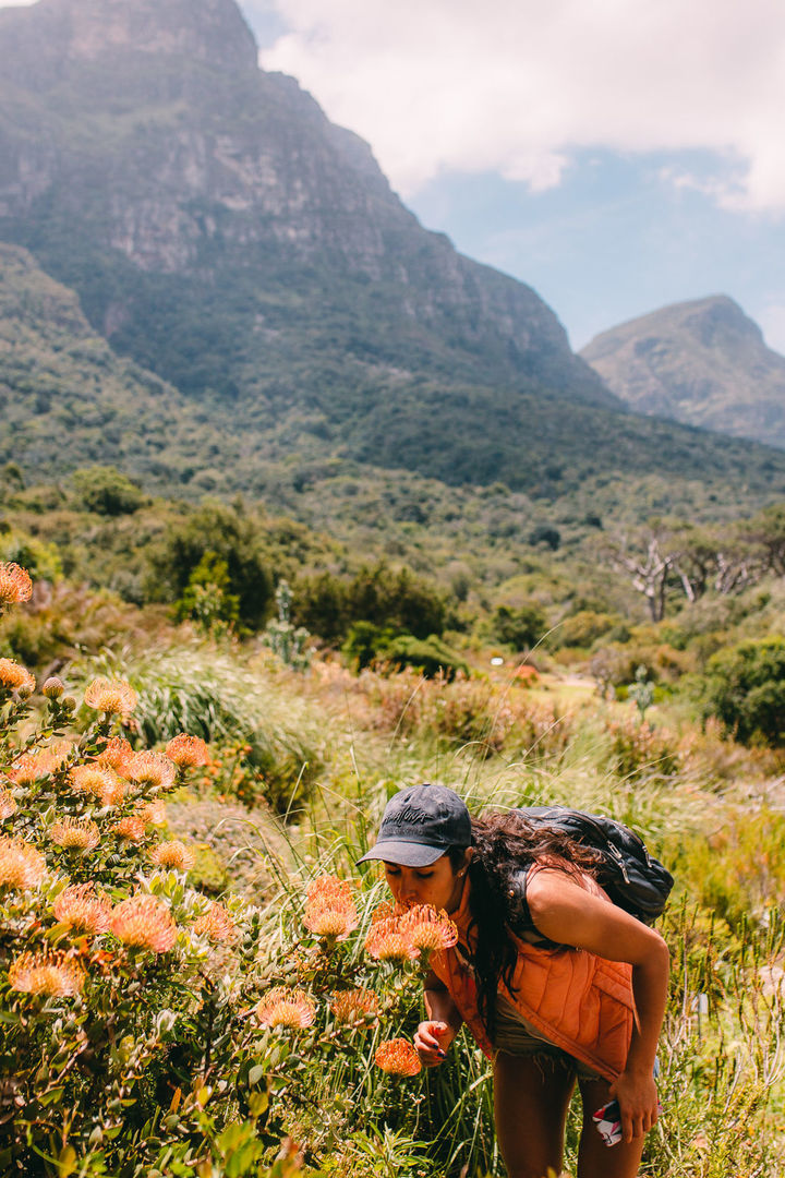 Foto VIAGENS - Capetown! Foto VIAGENS - Capetown! - Imagem 68