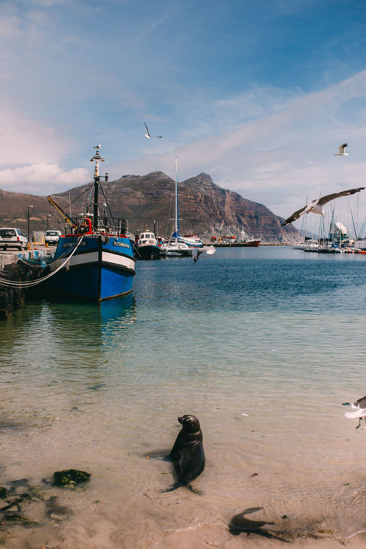 Foto VIAGENS - Capetown! Foto VIAGENS - Capetown! - Imagem 96