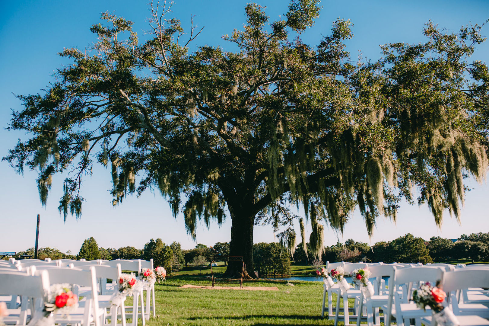 Foto WEDDING - Tha & Kennedy (Orlando/Flórida) Foto WEDDING - Tha & Kennedy (Orlando/Flórida) - Imagem 40