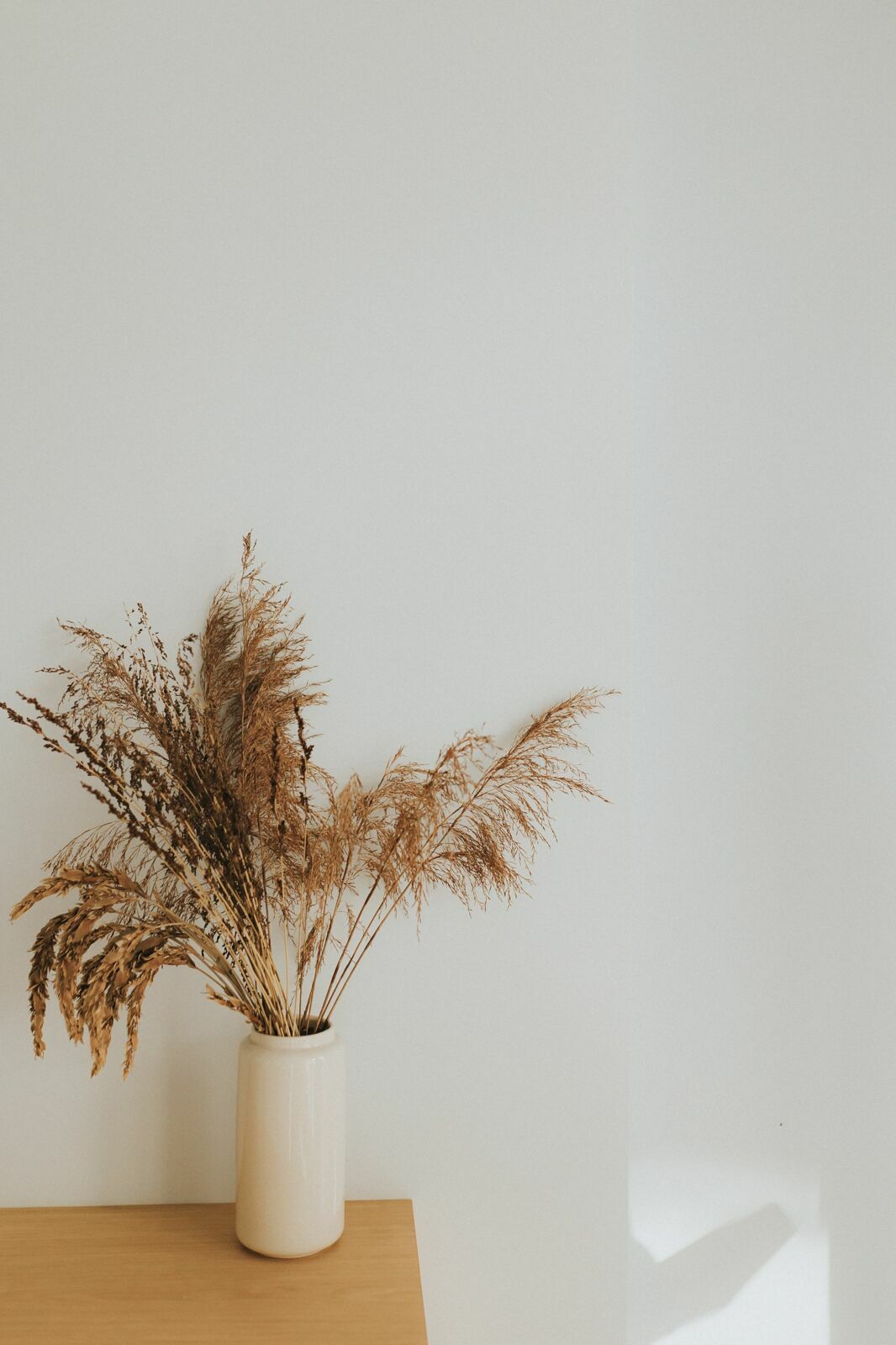 Foto ENSAIO // Maíra  - Imagem 1